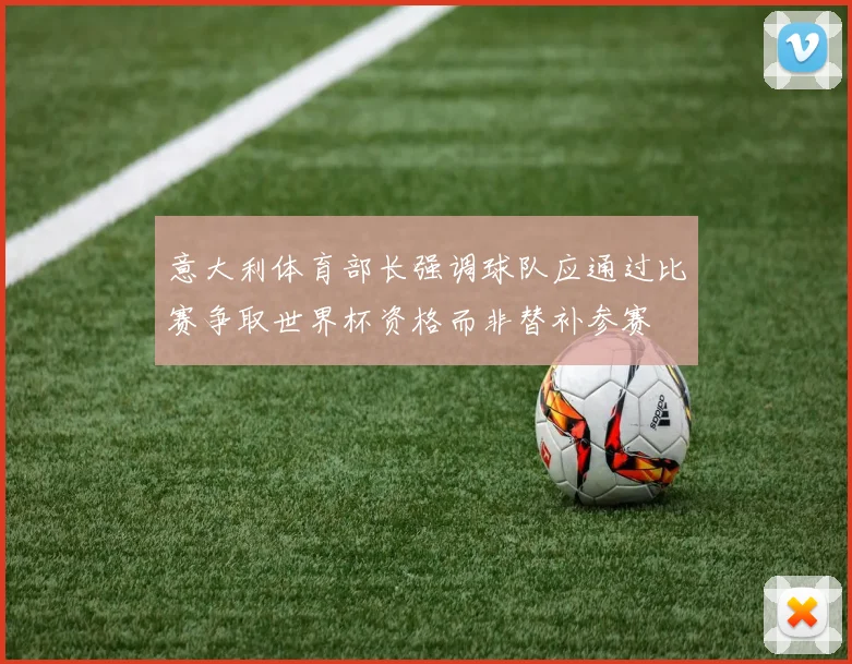 意大利体育部长强调球队应通过比赛争取世界杯资格而非替补参赛