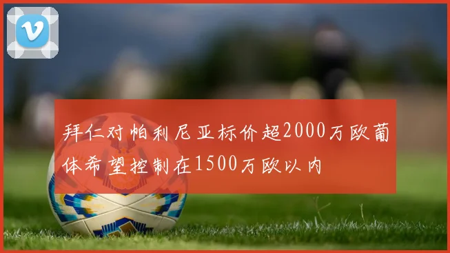 拜仁对帕利尼亚标价超2000万欧葡体希望控制在1500万欧以内