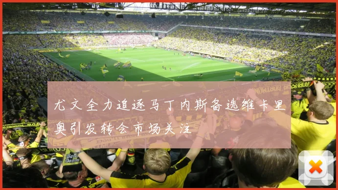 尤文全力追逐马丁内斯备选维卡里奥引发转会市场关注